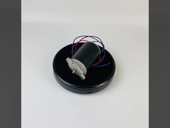 300W 500W المغناطيس الدائم نحى DC Motor عالية عزم الدوران 24V 48V لجزازة العشب