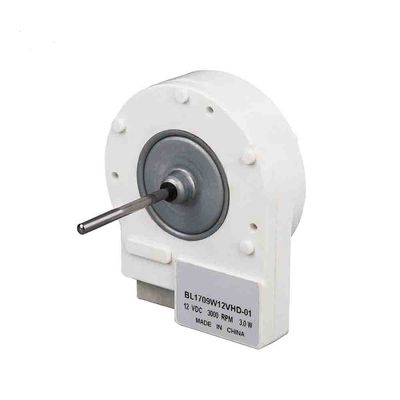 ZW 58 Class B 12v Brushless DC Motor 50 60 هرتز محرك مولد BLDC